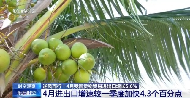 中国外贸进出口表现亮眼背后的底气ag真人平台第一游戏关税战下(图2)